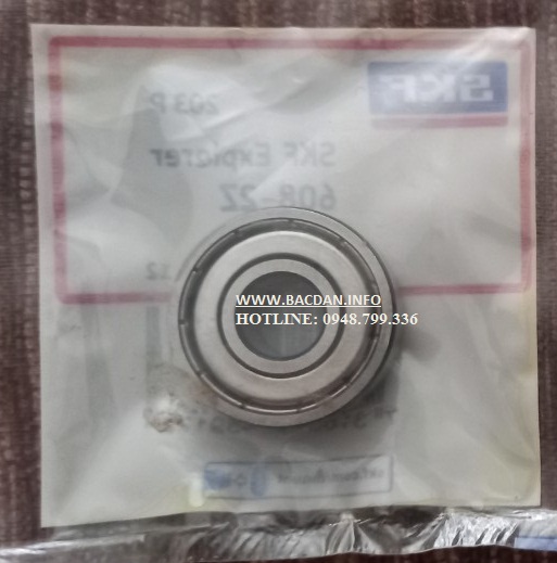 BẠC ĐẠN 61810 2Z/C3