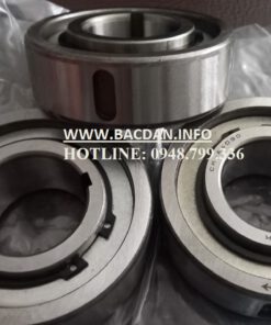 CATALOGUE GỐI ĐỠ
