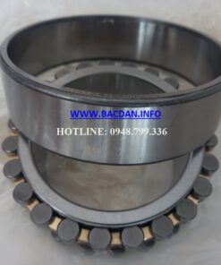 VÒNG BI NN 3012 K-C1NA-P4