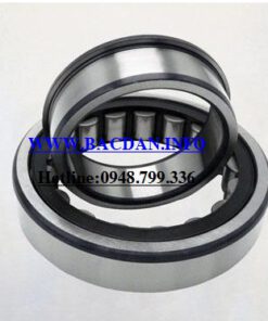 VÒNG BI NU 313 E-C-P