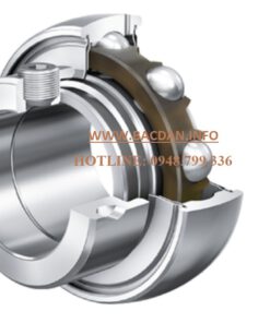 VÒNG BI RAE75 XL NPP B