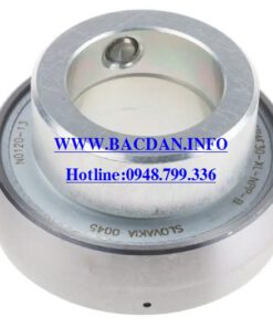 VÒNG BI RAE 17-XL-NPP-B