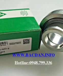 VÒNG BI RAE 12-XL-NPP-B