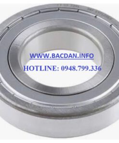 VÒNG BI  S 6009 Z INOX